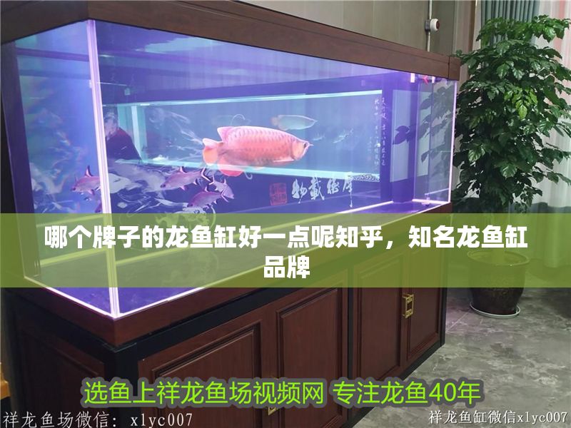 哪個(gè)牌子的龍魚缸好一點(diǎn)呢知乎，知名龍魚缸品牌