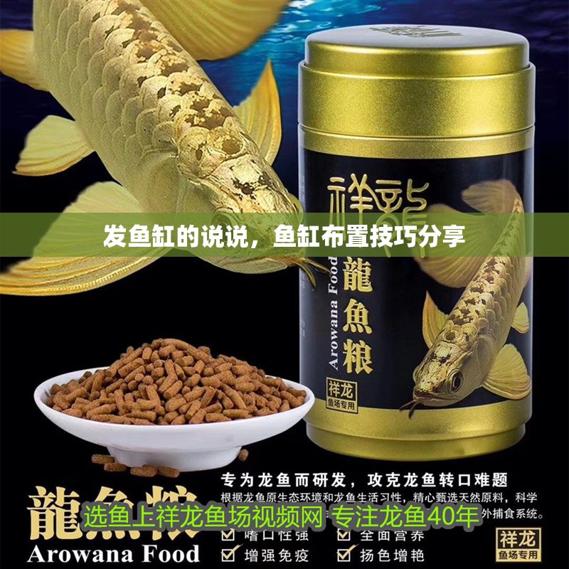 發(fā)魚缸的說說，魚缸布置技巧分享