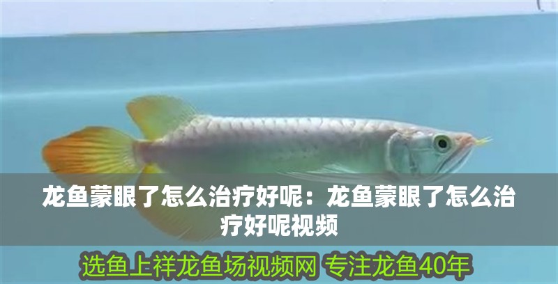 龍魚蒙眼了怎么治療好呢：龍魚蒙眼了怎么治療好呢視頻