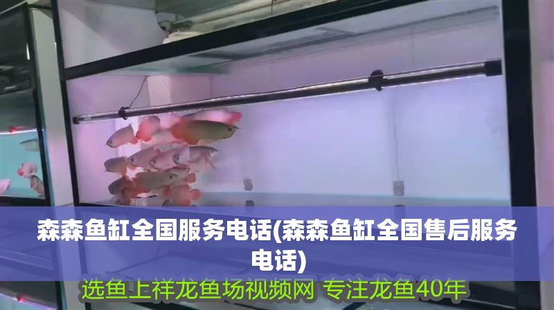 森森魚缸全國服務電話(森森魚缸全國售后服務電話) 森森魚缸全國服務電話(森森魚缸全國售后服務電話) 魚缸百科 第1張