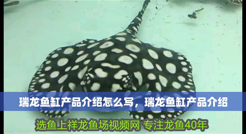 瑞龍魚缸產品介紹怎么寫，瑞龍魚缸產品介紹 瑞龍魚缸產品介紹怎么寫，瑞龍魚缸產品介紹 魚缸百科 第2張
