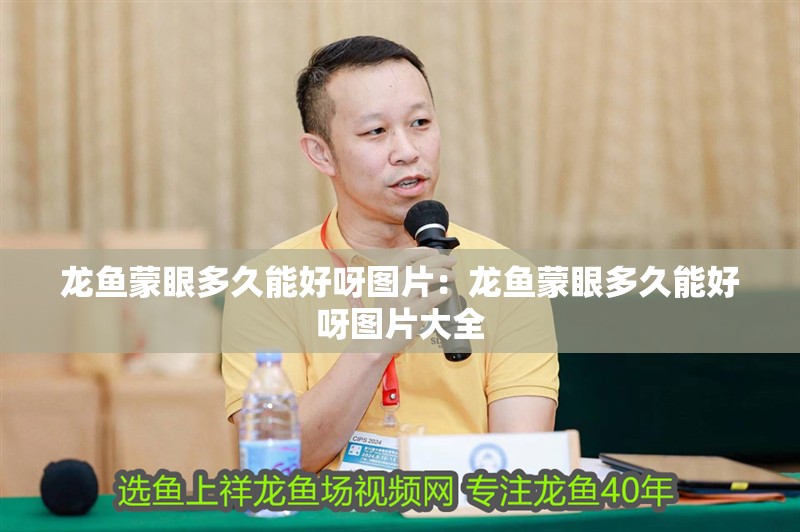 龍魚蒙眼多久能好呀圖片：龍魚蒙眼多久能好呀圖片大全 龍魚蒙眼多久能好呀圖片：龍魚蒙眼多久能好呀圖片大全 水族問答