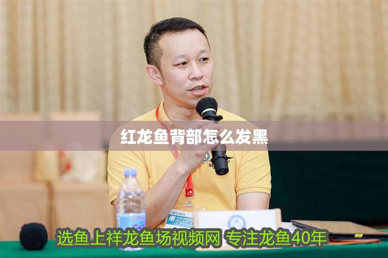 紅龍魚背部怎么發黑