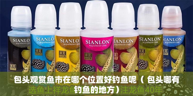 包頭觀賞魚市在哪個(gè)位置好釣魚呢（ 包頭哪有釣魚的地方）