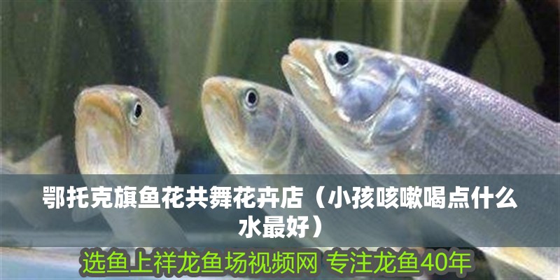 <strong><mark>鄂托克</mark></strong>旗魚花共舞花卉店（小孩咳嗽喝點什么水最好）