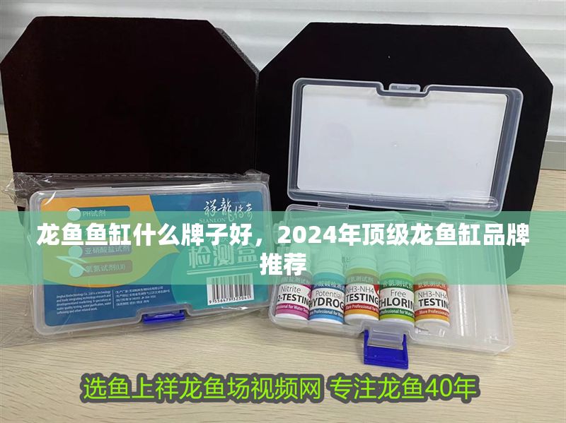 龍魚(yú)魚(yú)缸什么牌子好，2024年頂級(jí)龍魚(yú)缸品牌推薦