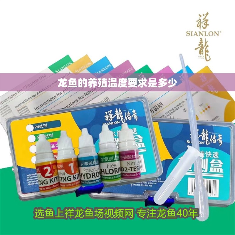 龍魚的養殖溫度要求是多少 龍魚的養殖溫度要求是多少 龍魚百科 第2張