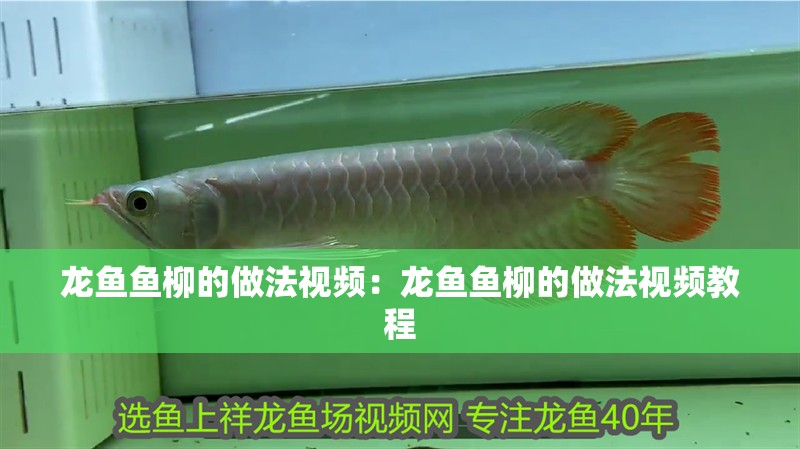 龍魚魚柳的做法視頻：龍魚魚柳的做法視頻教程