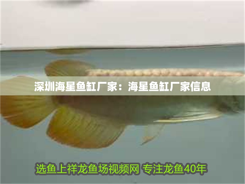 深圳海星魚缸廠家：海星魚缸廠家信息