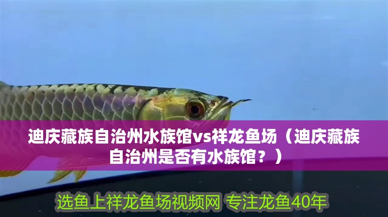 迪慶藏族自治州水族館vs祥龍魚(yú)場(chǎng)（迪慶藏族自治州是否有水族館？）