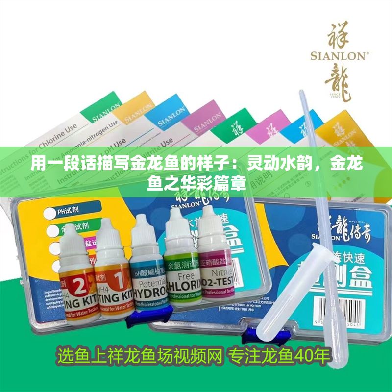 用一段話描寫金龍魚的樣子：靈動水韻，金龍魚之華彩篇章