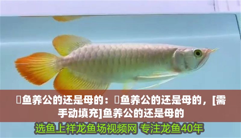 魟魚養公的還是母的：魟魚養公的還是母的，[需手動填充]魚養公的還是母的