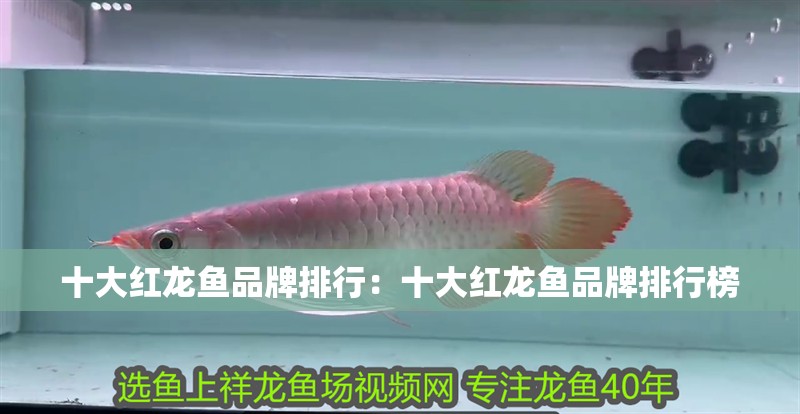 銀龍魚用什么顏色缸底好看(銀龍魚用什么顏色缸底好看些) 銀龍魚百科 銀龍魚用什么顏色缸底好看(銀龍魚用什么顏色缸底好看些) 銀龍魚用什么顏色缸底好看(銀龍魚用什么顏色缸底好看些) 銀龍魚百科