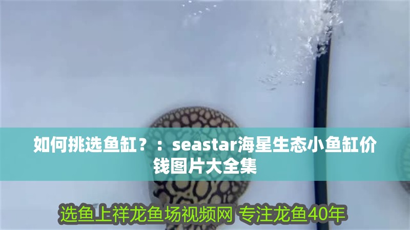 如何挑選魚缸？：seastar海星生態小魚缸價錢圖片大全集