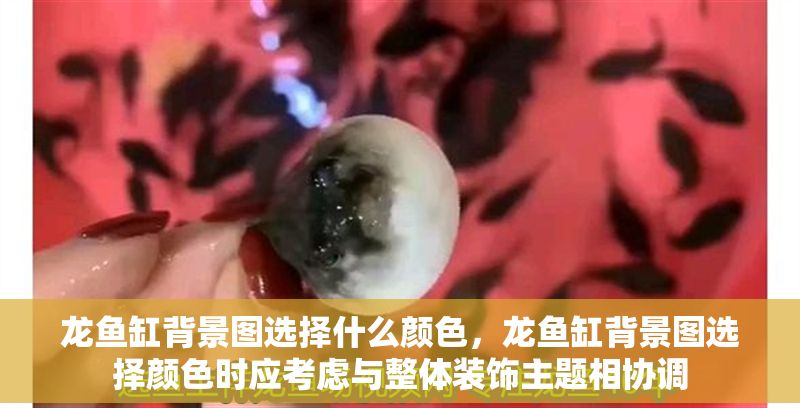 龍魚缸背景圖選擇什么顏色，龍魚缸背景圖選擇顏色時應考慮與整體裝飾主題相協調