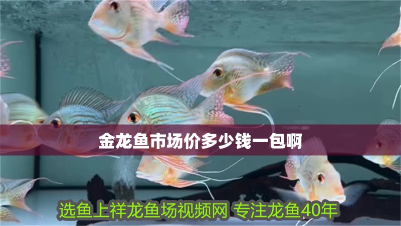 金龍魚市場價多少錢一包啊