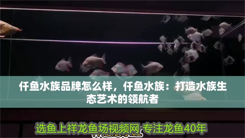 仟魚水族品牌怎么樣，仟魚水族：打造水族生態(tài)藝術(shù)的領(lǐng)航者