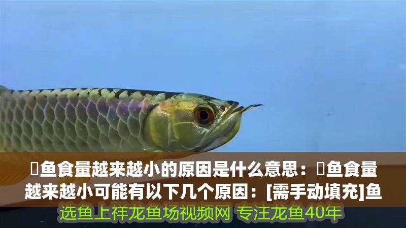 魟魚食量越來(lái)越小的原因是什么意思：魟魚食量越來(lái)越小可能有以下幾個(gè)原因：[需手動(dòng)填充]魚食量越來(lái)越小