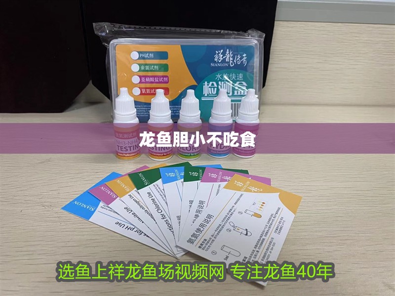 龍魚膽小不吃食 龍魚膽小不吃食 龍魚百科 第2張