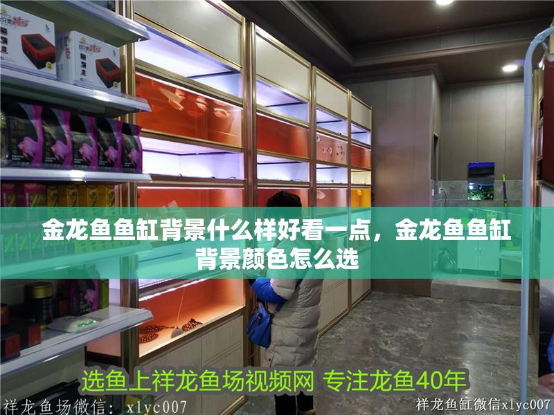 金龍魚魚缸背景什么樣好看一點，金龍魚魚缸背景顏色怎么選