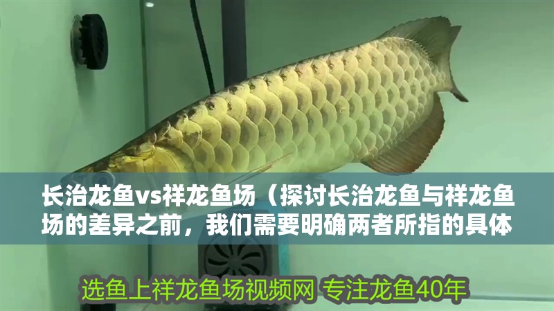 長治龍魚vs祥龍魚場（探討長治龍魚與祥龍魚場的差異之前，我們需要明確兩者所指的具體內容）