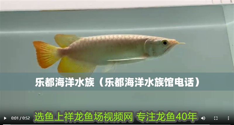 樂(lè)都海洋水族（樂(lè)都海洋水族館電話） 樂(lè)都海洋水族（樂(lè)都海洋水族館電話） 全國(guó)水族館企業(yè)名錄 第1張