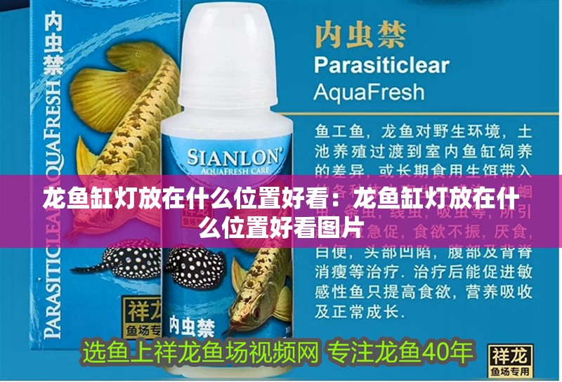 龍魚缸燈放在什么位置好看：龍魚缸燈放在什么位置好看圖片