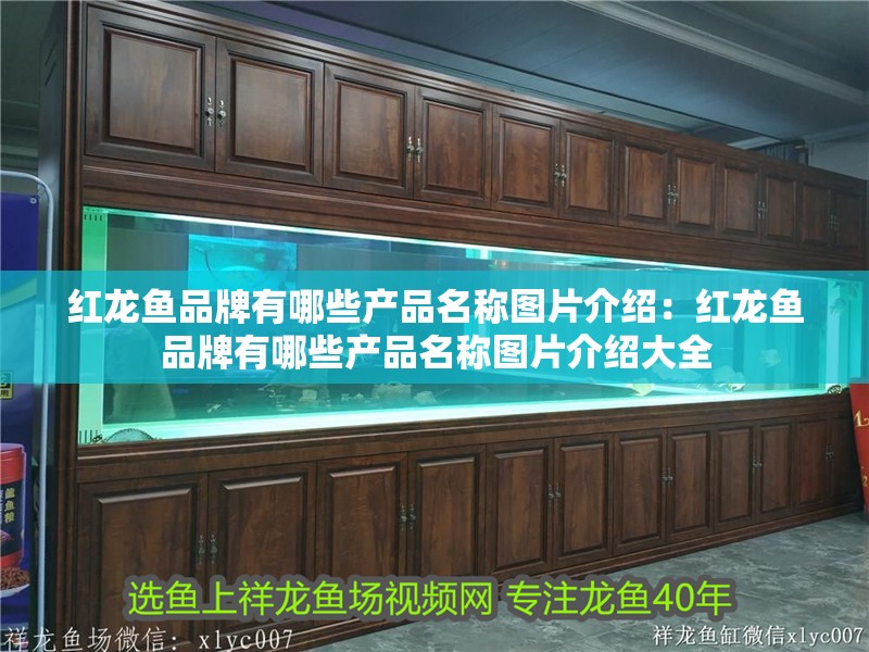 紅龍魚(yú)品牌有哪些產(chǎn)品名稱(chēng)圖片介紹：紅龍魚(yú)品牌有哪些產(chǎn)品名稱(chēng)圖片介紹大全 紅龍魚(yú)品牌有哪些產(chǎn)品名稱(chēng)圖片介紹：紅龍魚(yú)品牌有哪些產(chǎn)品名稱(chēng)圖片介紹大全 水族問(wèn)答