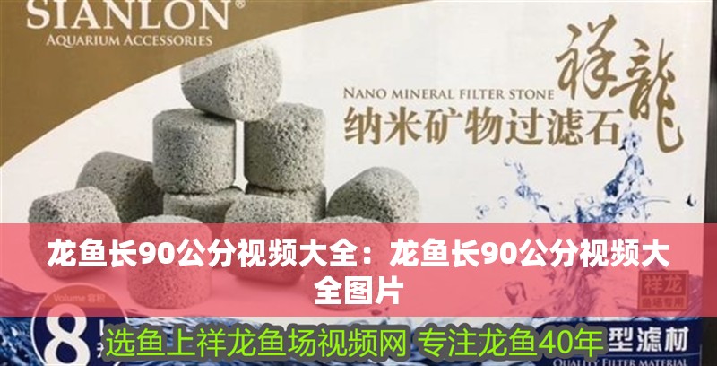 龍魚長(zhǎng)90公分視頻大全：龍魚長(zhǎng)90公分視頻大全圖片