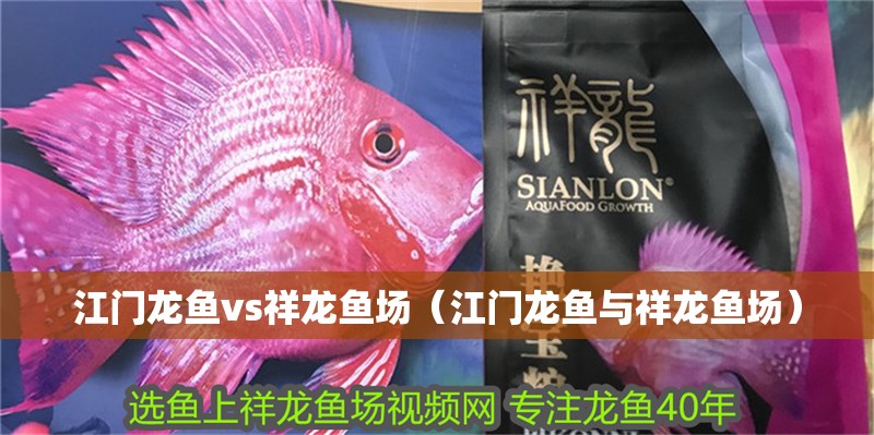 江門龍魚vs祥龍魚場（江門龍魚與祥龍魚場）