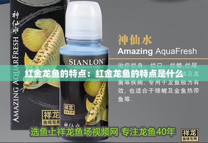 紅金龍魚的特點：紅金龍魚的特點是什么 紅金龍魚的特點：紅金龍魚的特點是什么 水族問答