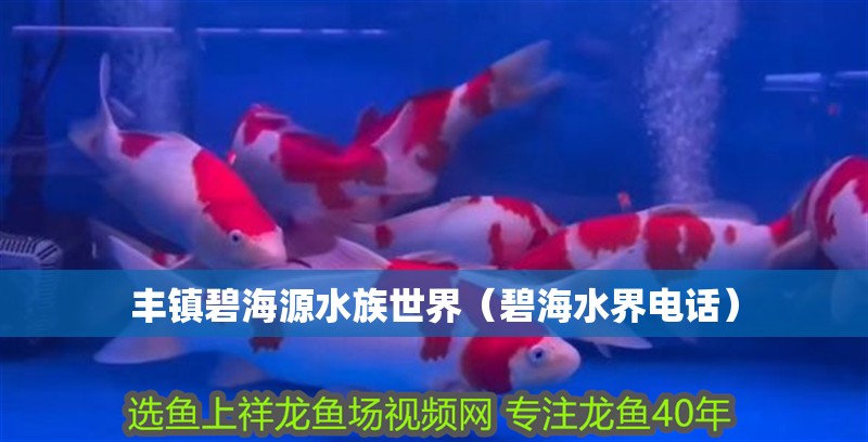 豐鎮碧海源水族世界（碧海水界電話）