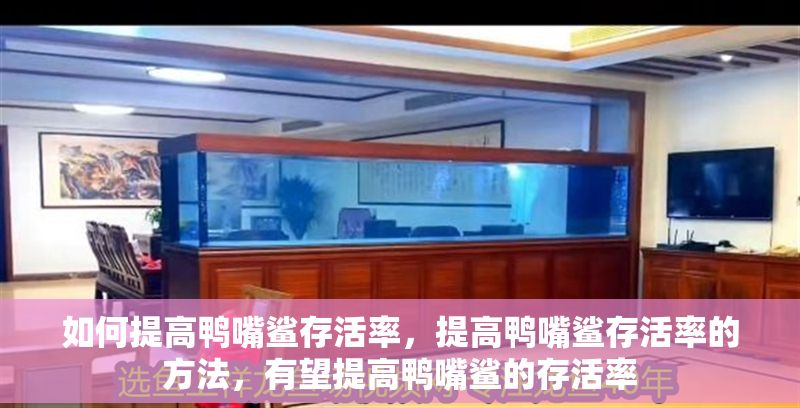 如何提高鴨嘴鯊存活率，提高鴨嘴鯊存活率的方法，有望提高鴨嘴鯊的存活率