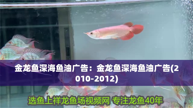 金龍魚深海魚油廣告：金龍魚深海魚油廣告(2010-2012)