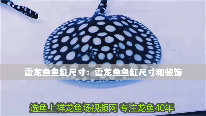 雷龍魚魚缸尺寸：雷龍魚魚缸尺寸和裝飾