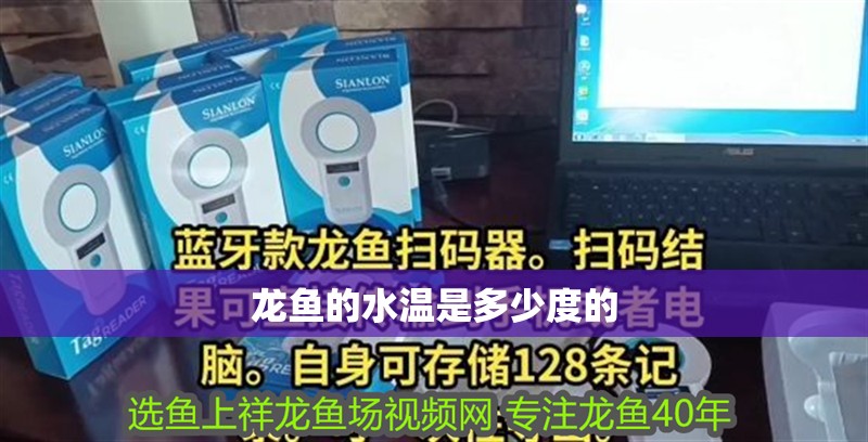 龍魚的水溫是多少度的