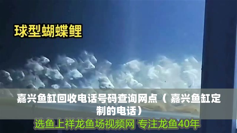 嘉興魚缸回收電話號(hào)碼查詢網(wǎng)點(diǎn)（ 嘉興魚缸定制的電話）