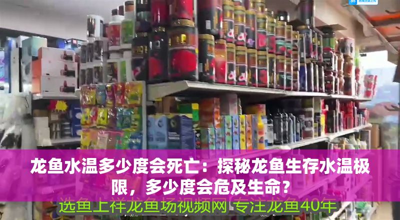 龍魚水溫多少度會死亡：探秘龍魚生存水溫極限，多少度會危及生命？