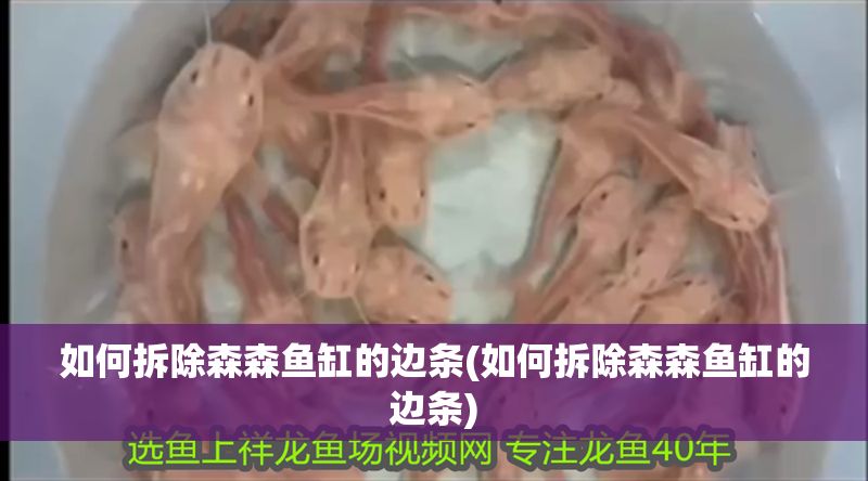 如何拆除森森魚缸的邊條(如何拆除森森魚缸的邊條)