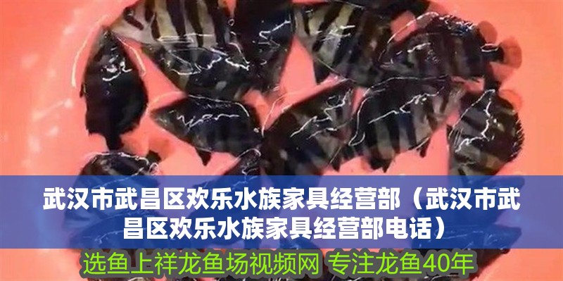 武漢市武昌區歡樂水族家具經營部（武漢市武昌區歡樂水族家具經營部電話）