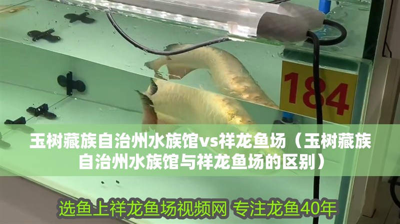 玉樹藏族自治州水族館vs祥龍魚場（玉樹藏族自治州水族館與祥龍魚場的區別）