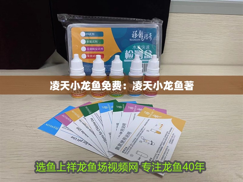 凌天小龍魚免費(fèi)：凌天小龍魚著
