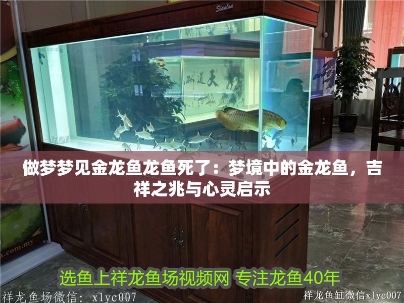 做夢夢見金龍魚龍魚死了：夢境中的金龍魚，吉祥之兆與心靈啟示