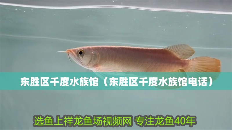 東勝區千度水族館（東勝區千度水族館電話） 東勝區千度水族館（東勝區千度水族館電話） 全國水族館企業名錄 第1張