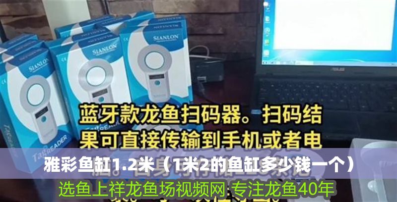 雅彩魚缸1.2米（1米2的魚缸多少錢一個(gè)）
