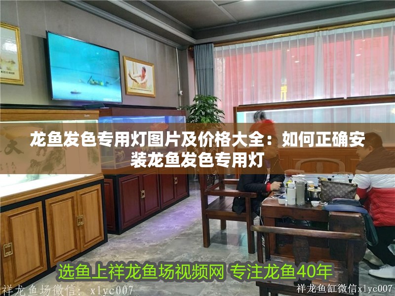 龍魚發色專用燈圖片及價格大全：如何正確安裝龍魚發色專用燈