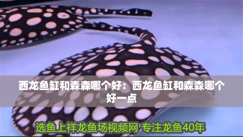 西龍魚缸和森森哪個(gè)好：西龍魚缸和森森哪個(gè)好一點(diǎn)