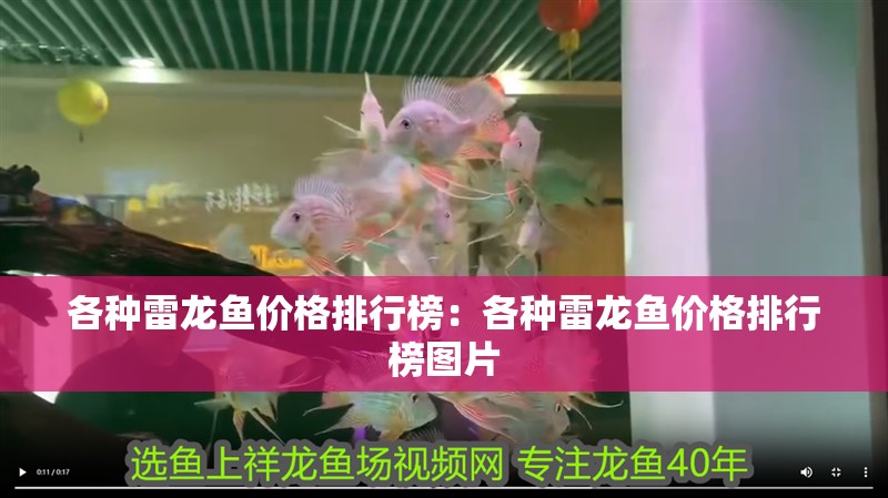 各種雷龍魚價格排行榜：各種雷龍魚價格排行榜圖片