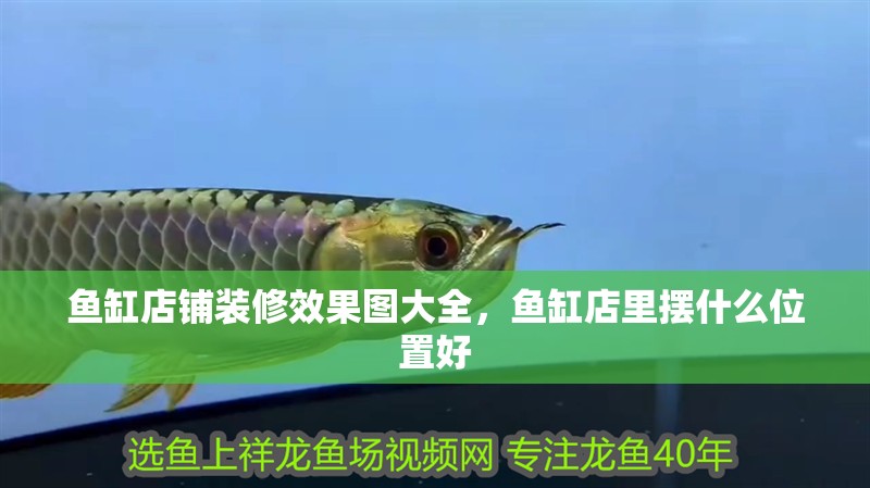 魚缸店鋪裝修效果圖大全，魚缸店里擺什么位置好 魚缸店鋪裝修效果圖大全，魚缸店里擺什么位置好 全國水族館企業名錄 第1張