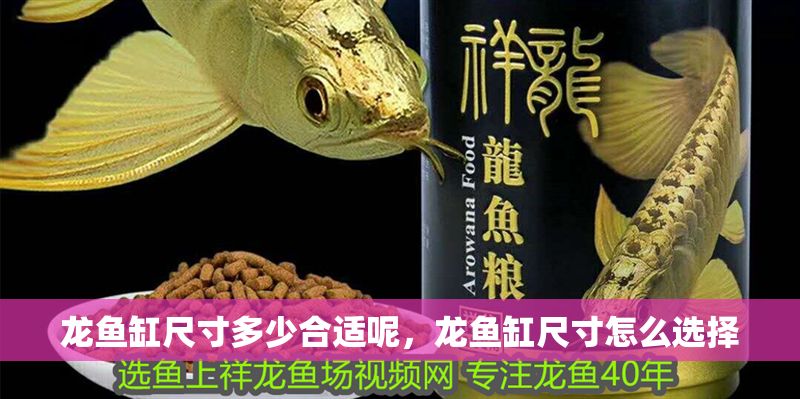龍魚缸尺寸多少合適呢，龍魚缸尺寸怎么選擇 龍魚缸尺寸多少合適呢，龍魚缸尺寸怎么選擇 魚缸百科 第2張